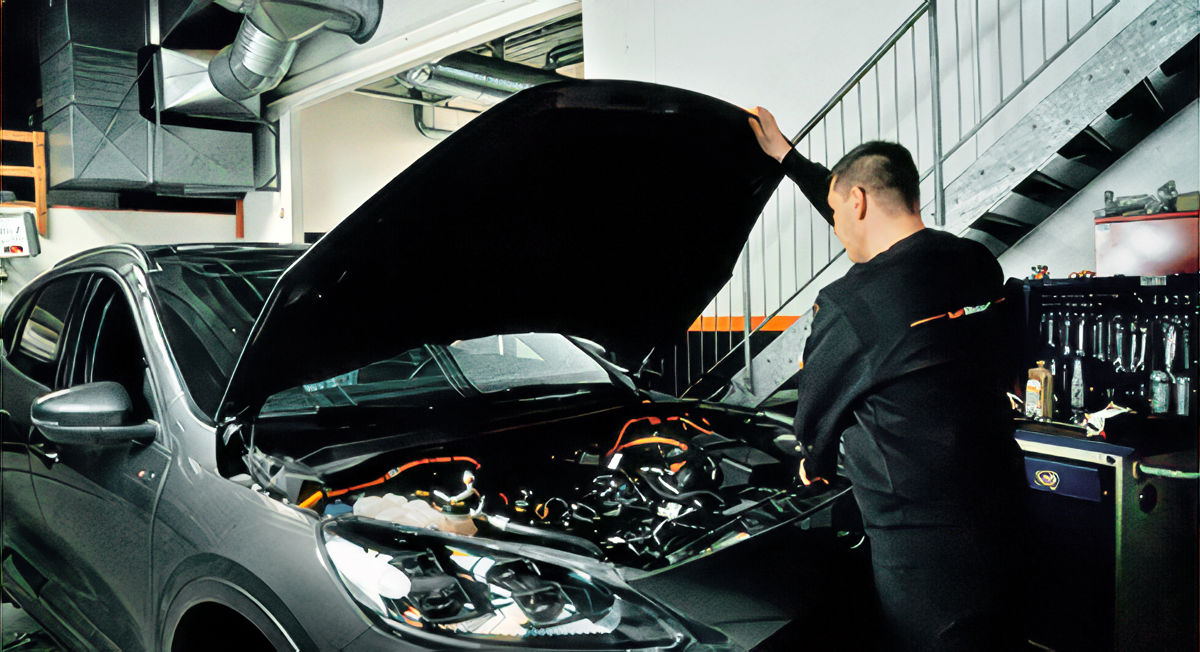 Dækbilled Henrik 488X 265